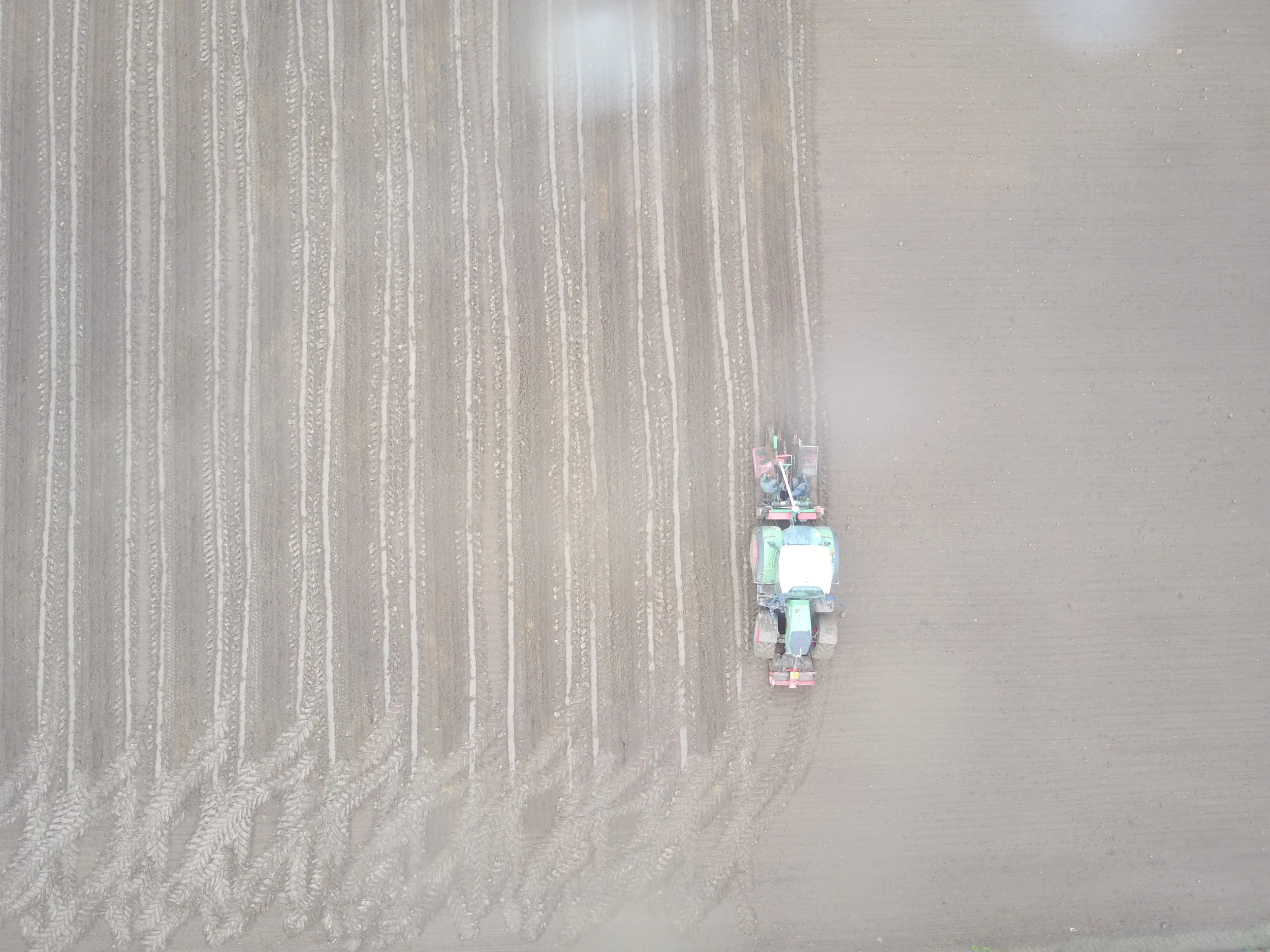 Nyplantering 2017 avklarad, drygt 22.000 plantor i jorden