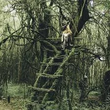 'The Real Pygmies Experience' - Vice News