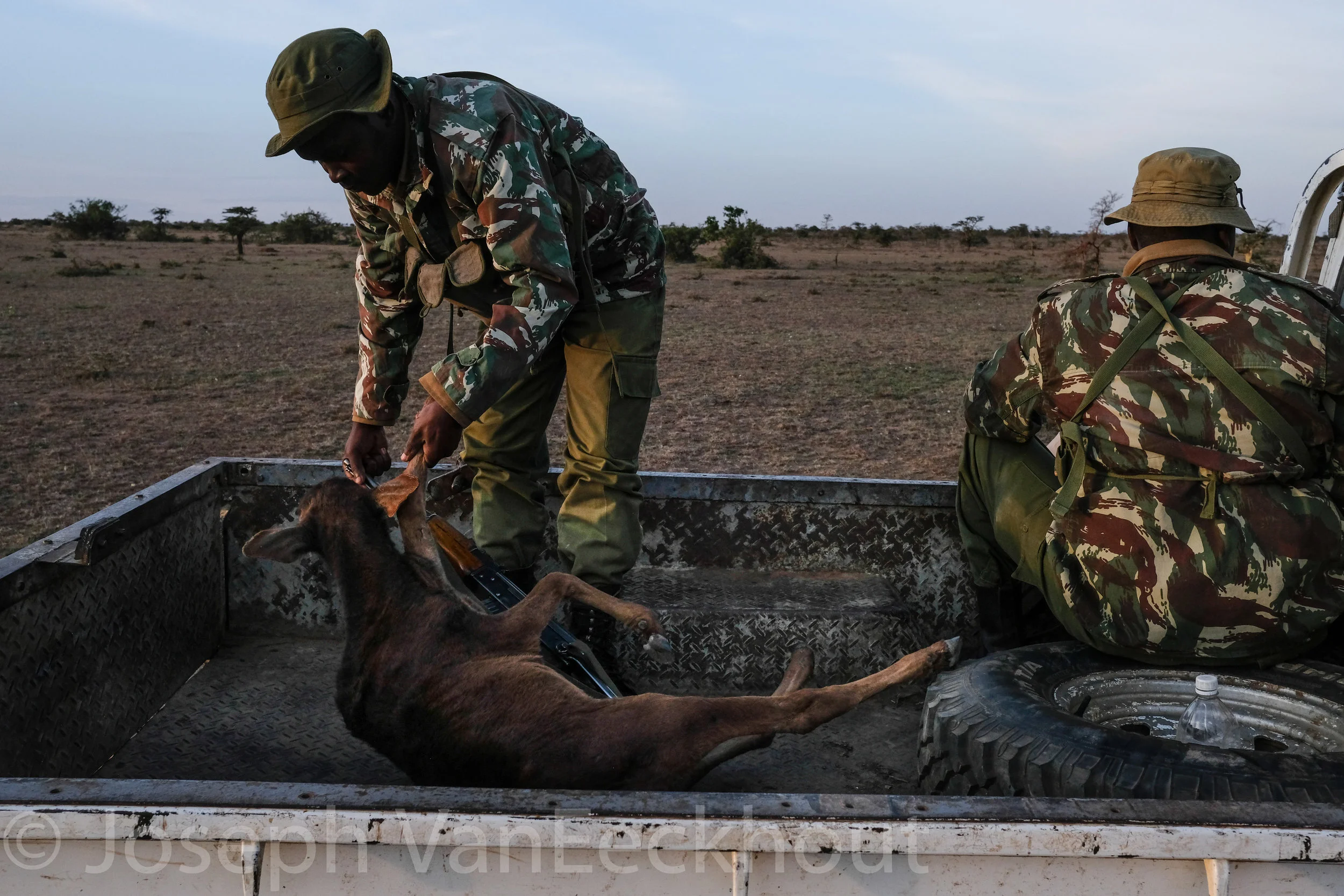 Au Kenya, les éleveurs nomades envahissent les ranchs - Le Figaro