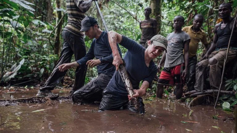 Un piège de carbone fragile au cœur du bassin du Congo - Le Figaro