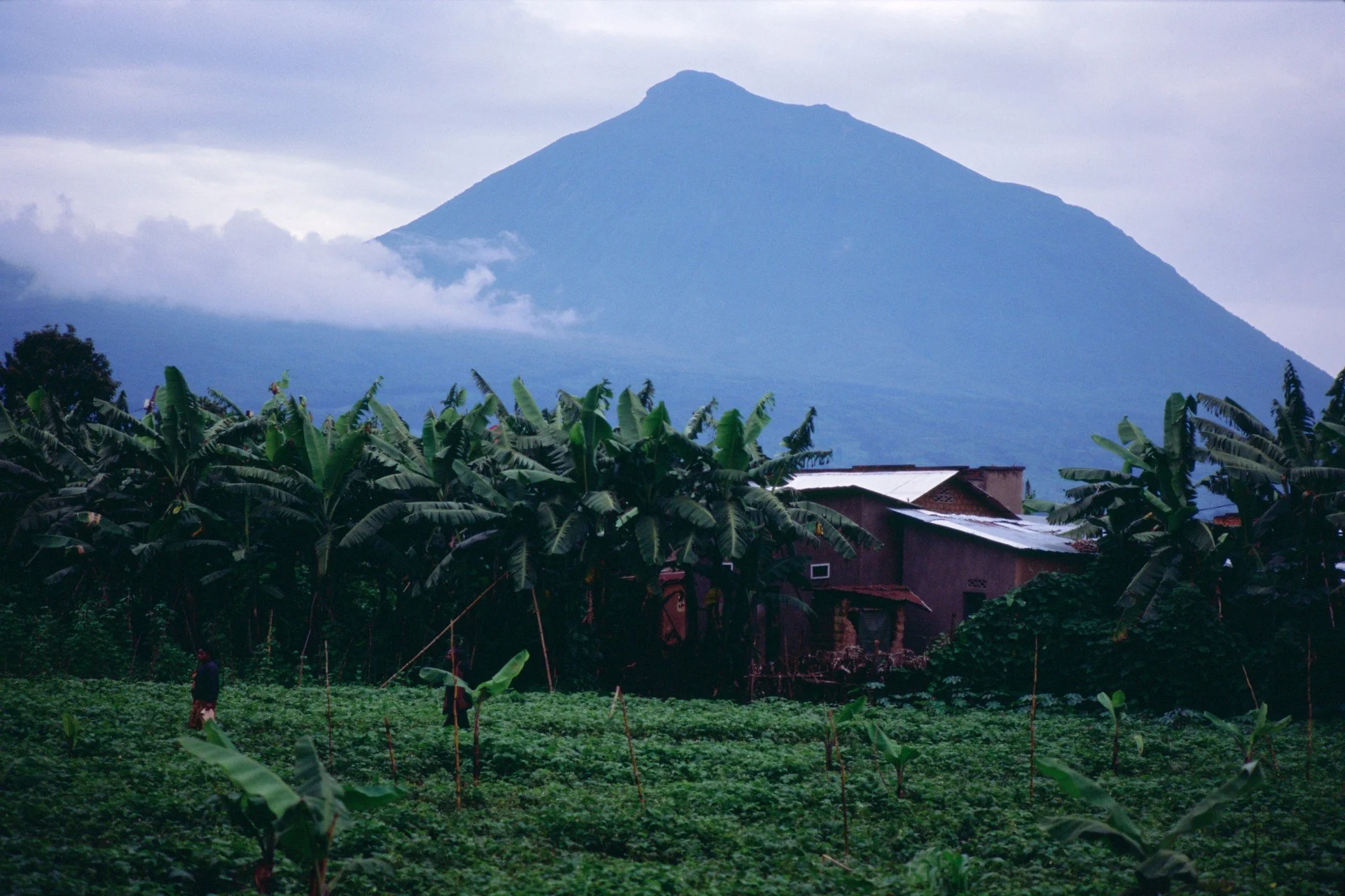 Hard Lines - Atmos Magazine