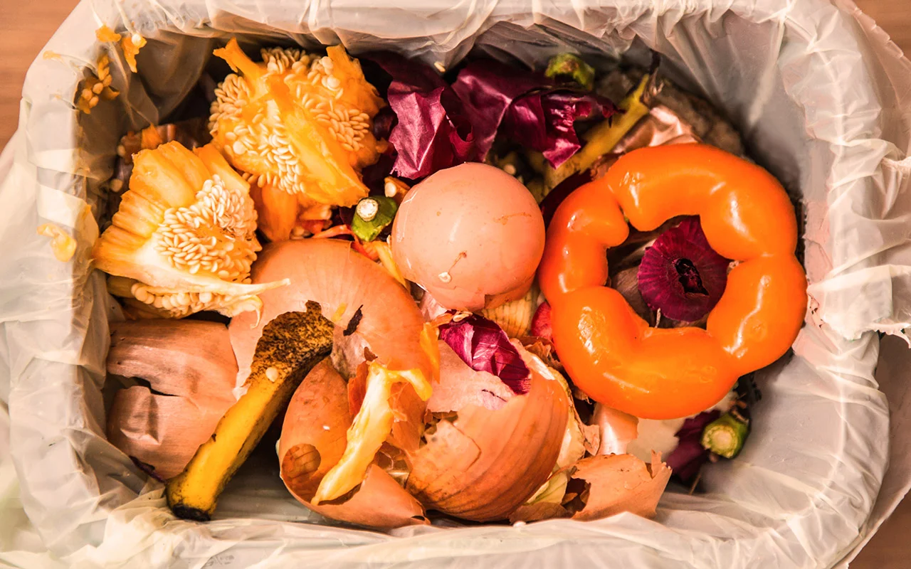 UK call for end the "throwaway society"