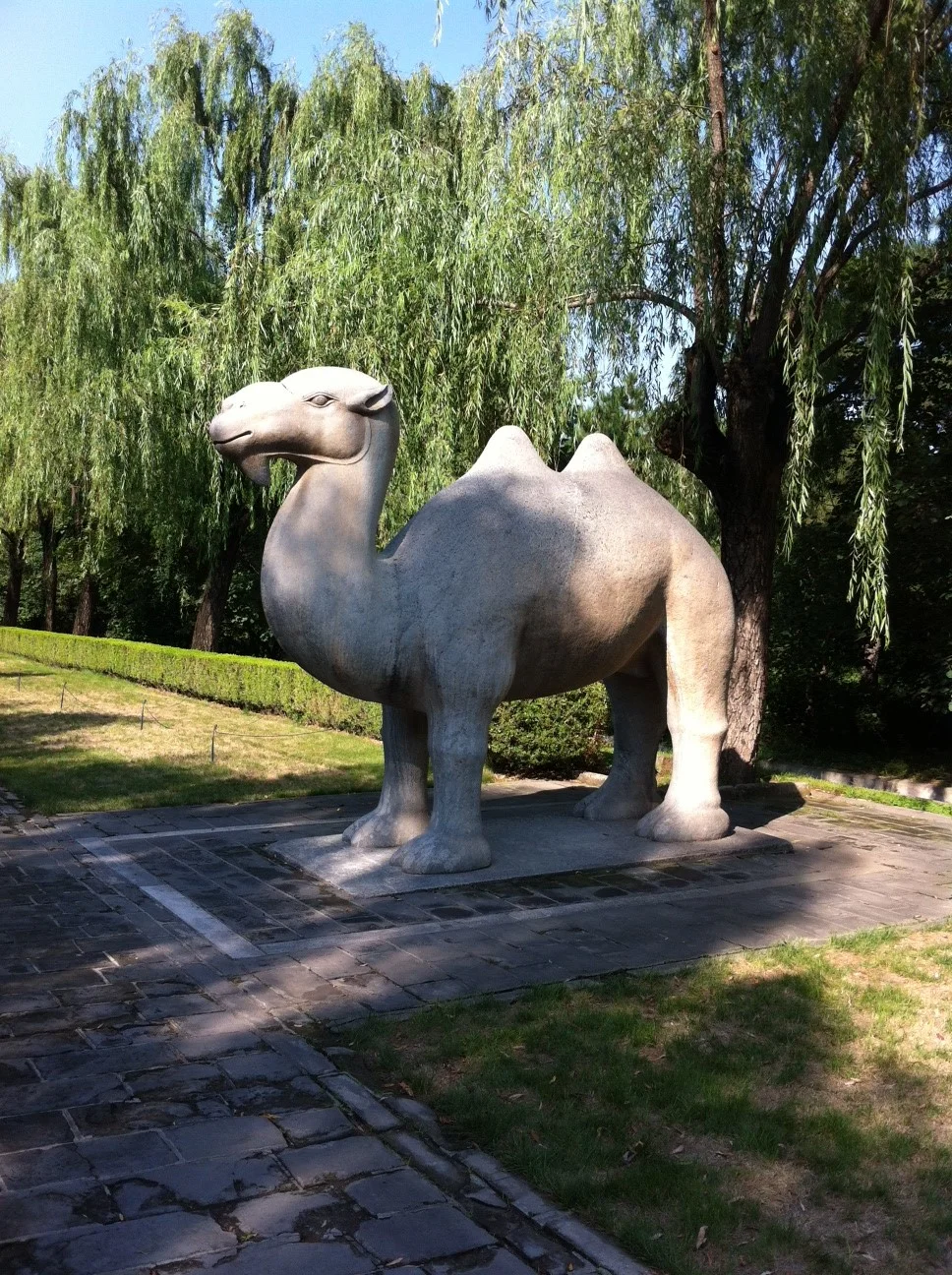 Standing Up is Easier than Sitting Down