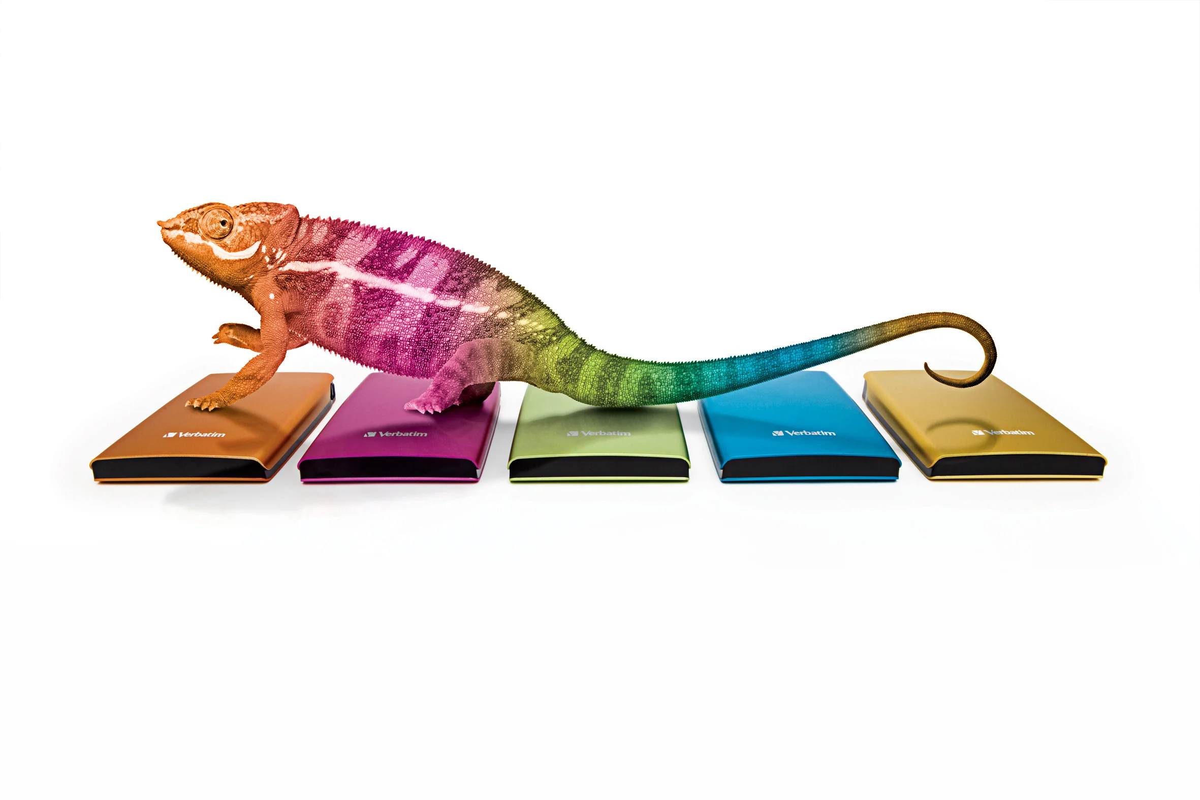 ChameleonBillboard_Graphic_LowRes222.jpg