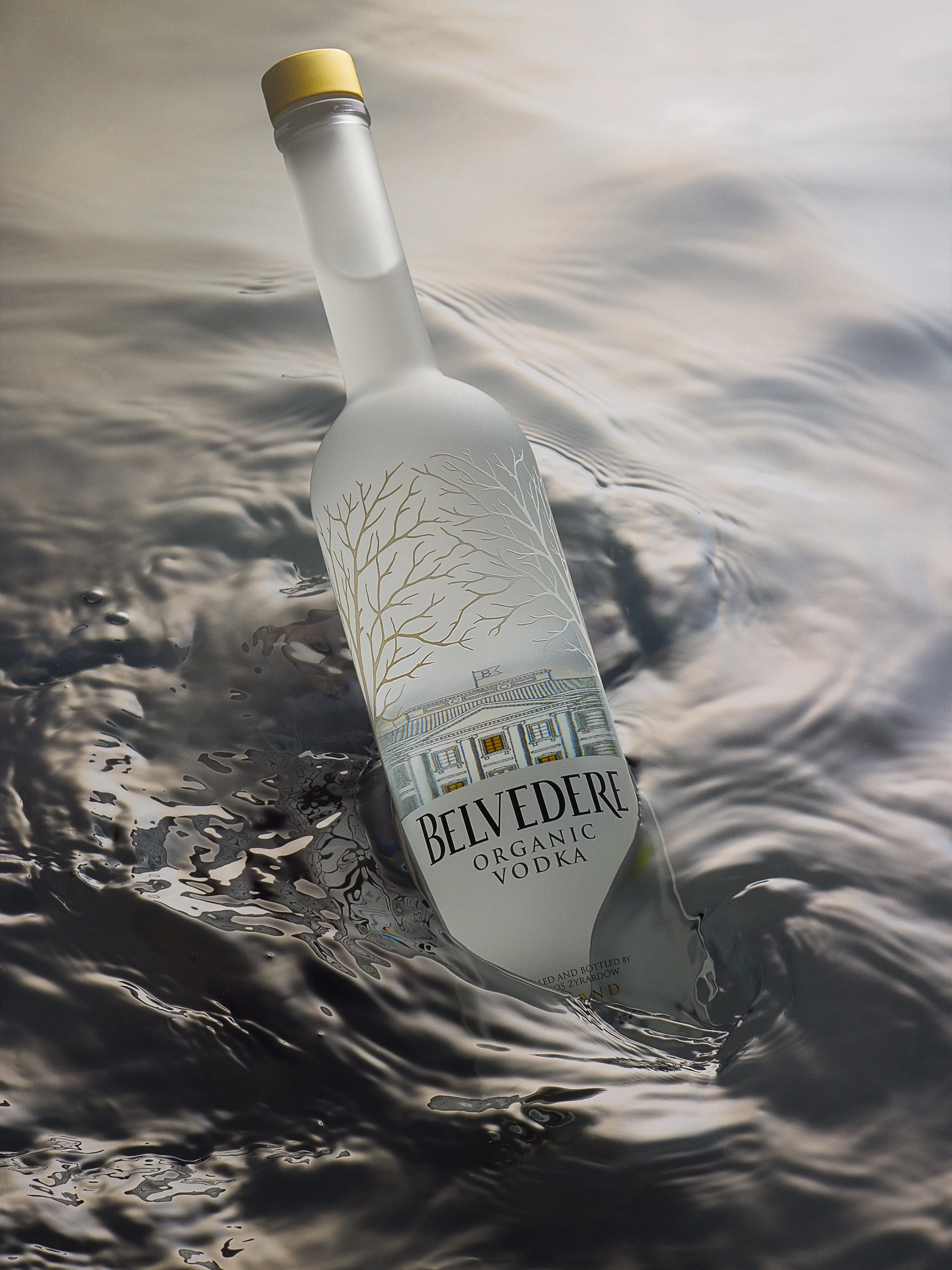 Belvedere_01 copy.jpg
