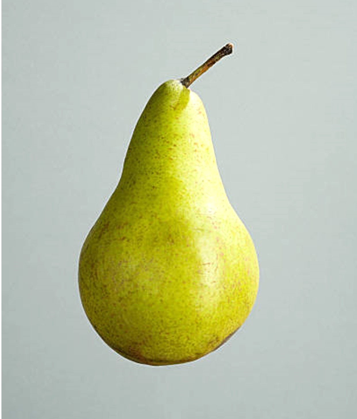 pear3.jpg