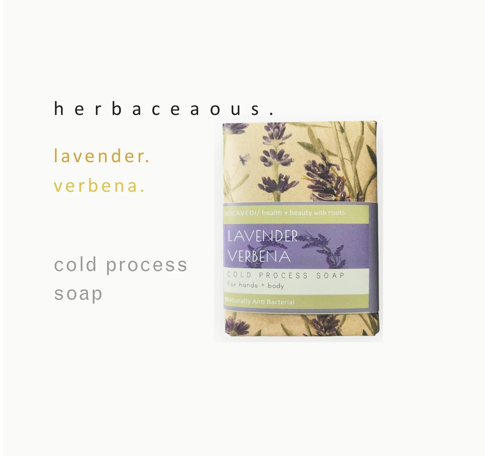 NST LAVENDER VERBENA.jpg