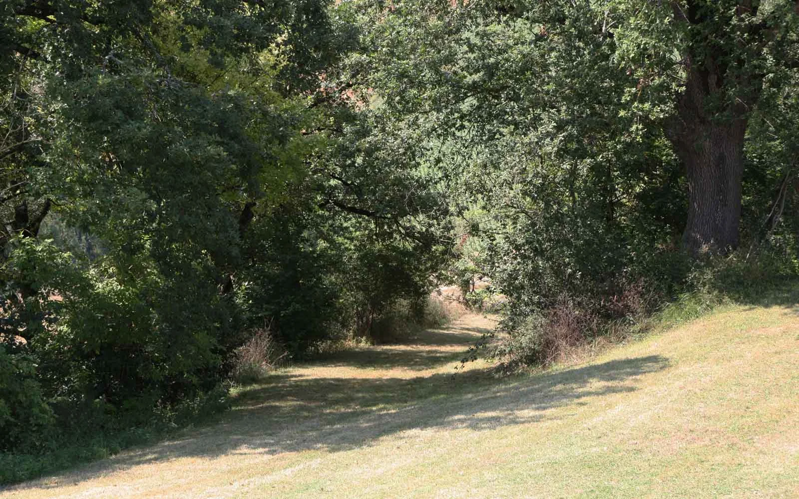 grounds-path-019.jpg