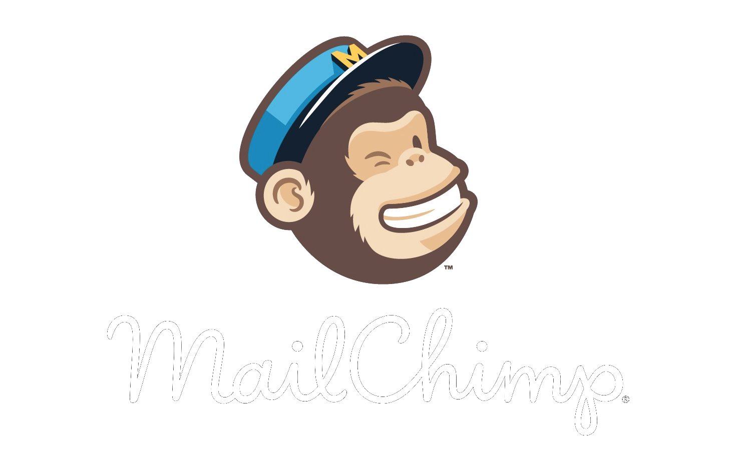 mailchimp_01a.png