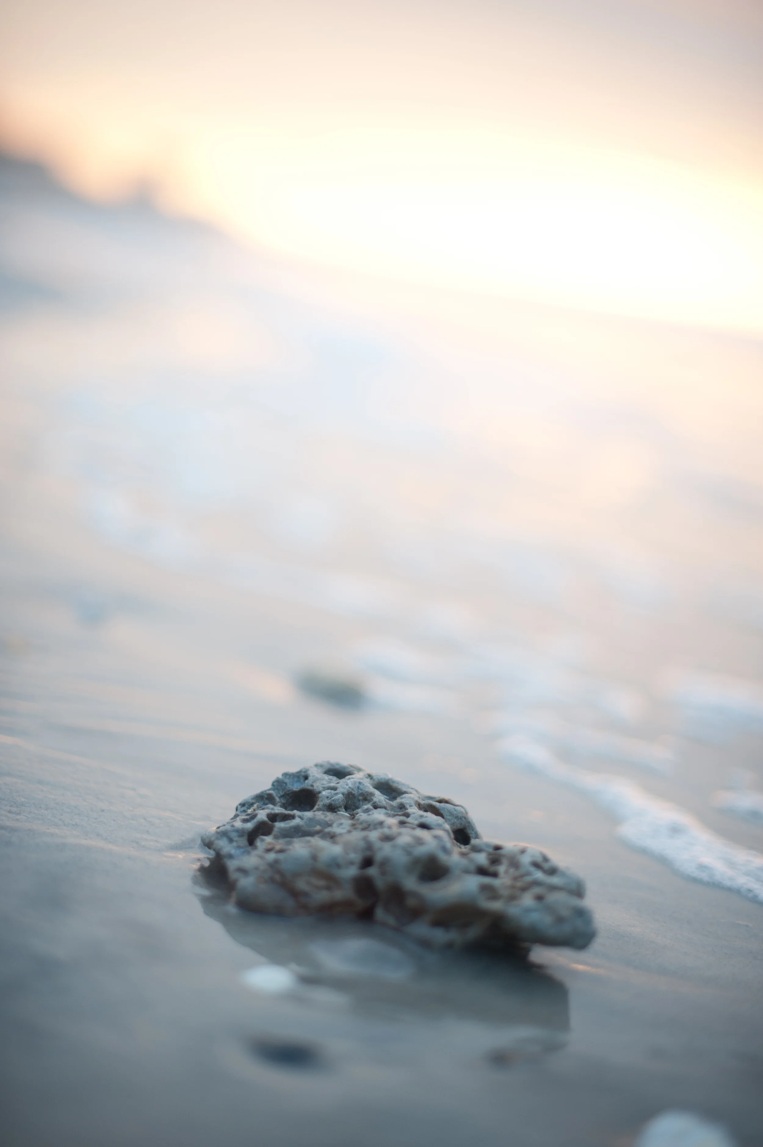 Stockimages_1582.jpg