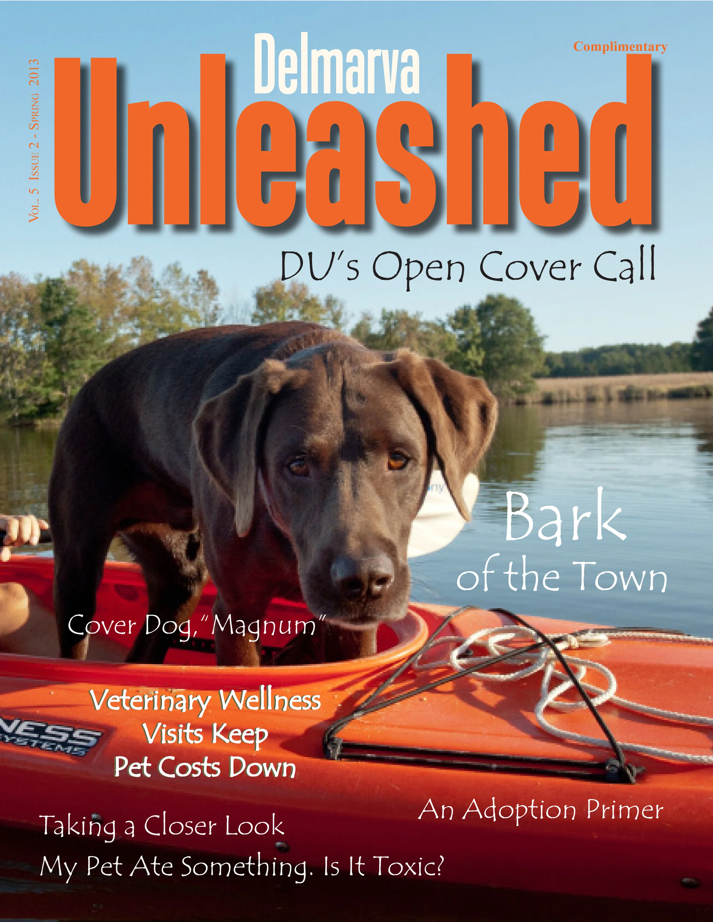 DUSpring2013Cover.jpg