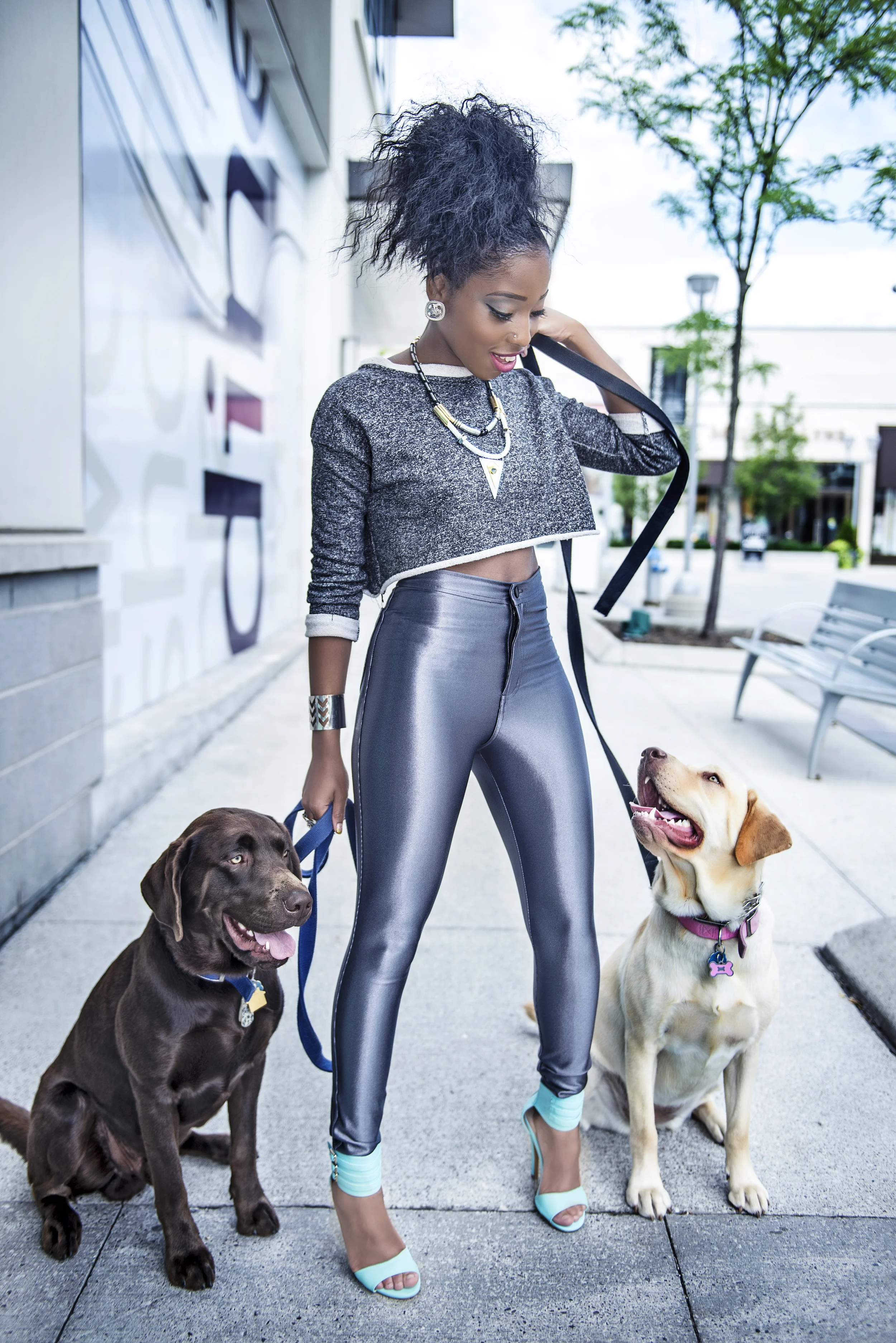 dog walk