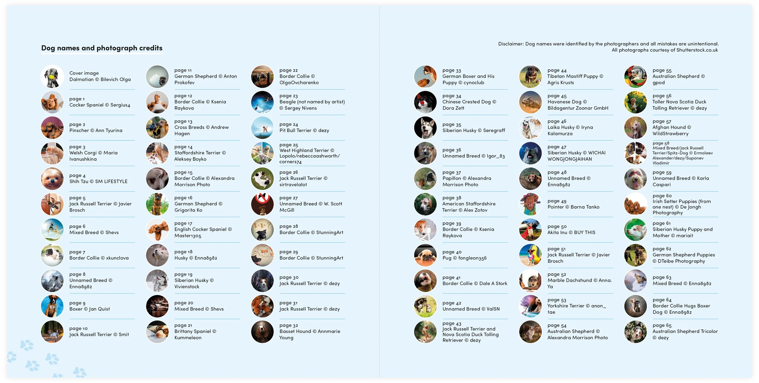 Hoopmann - Pages 10.jpg