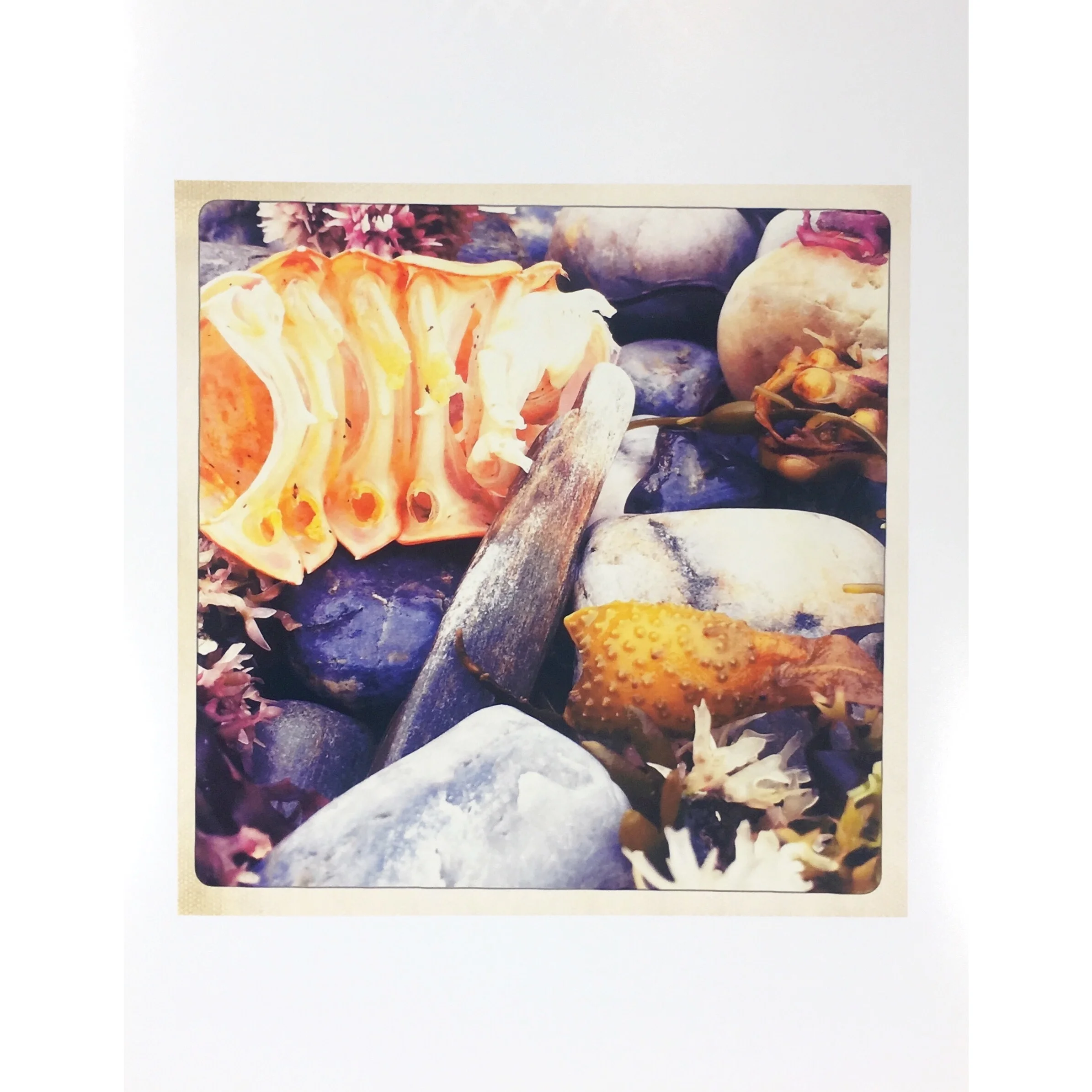 lobsteronthehalfshell.jpg