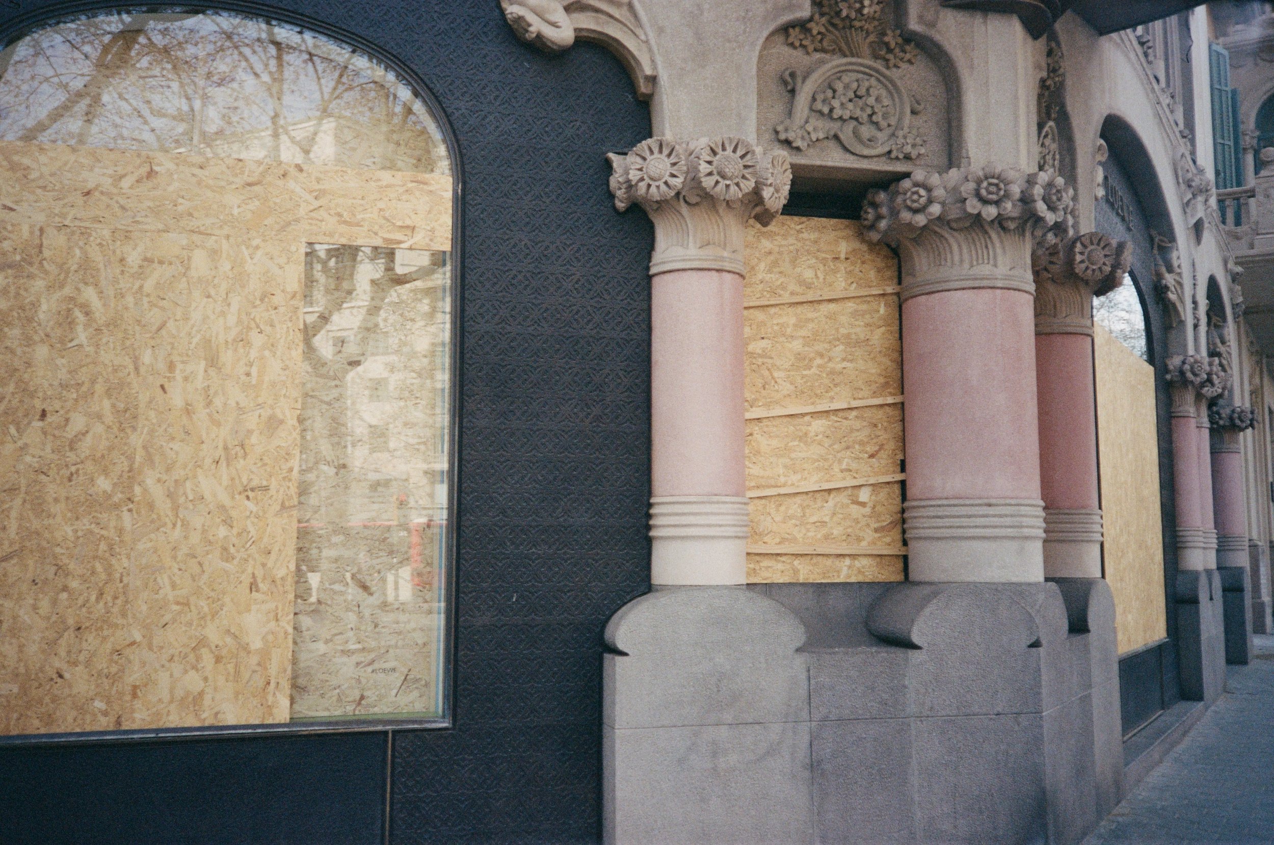 kodak_professional_portra_400_10_22_2024_000393520017.jpg