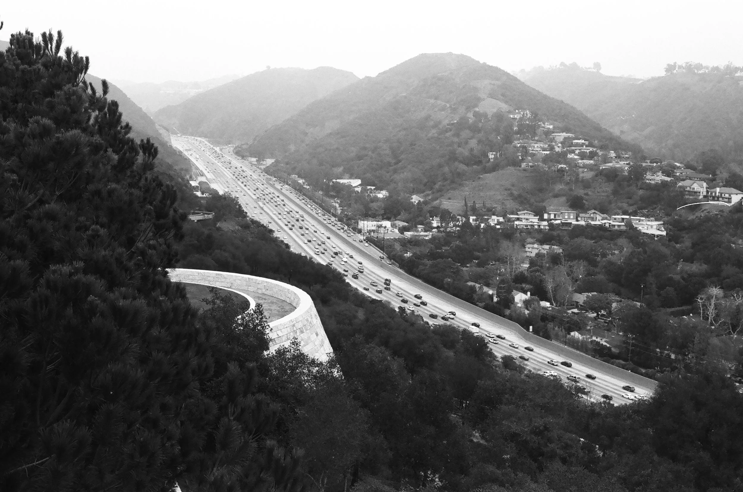 bwSample01.JPG