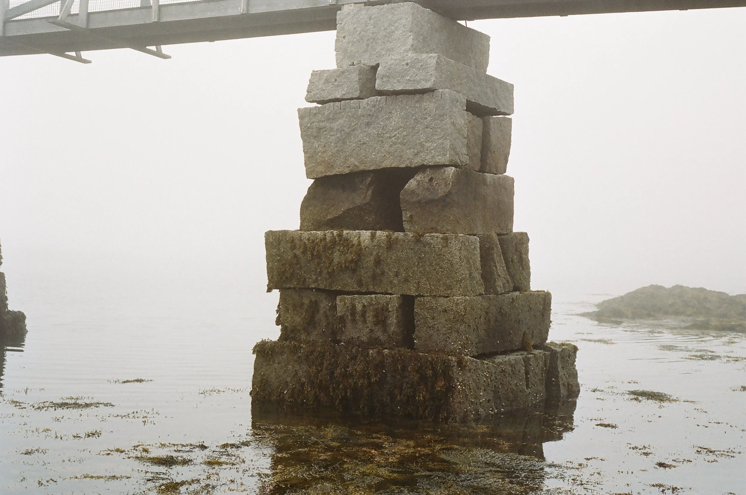 2017_maine_roll_4_15.JPG