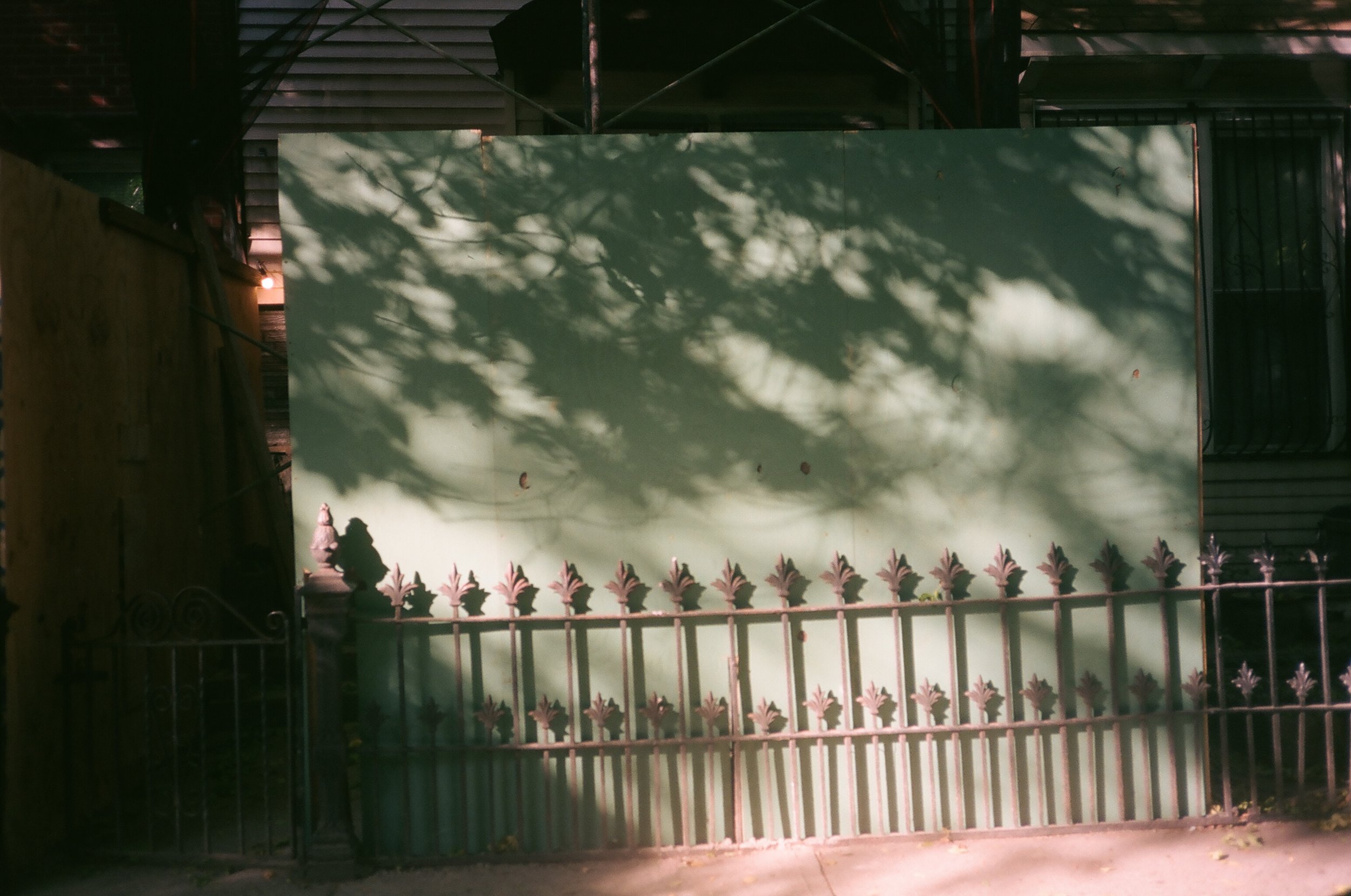 11_19_Roll_4_23.JPG