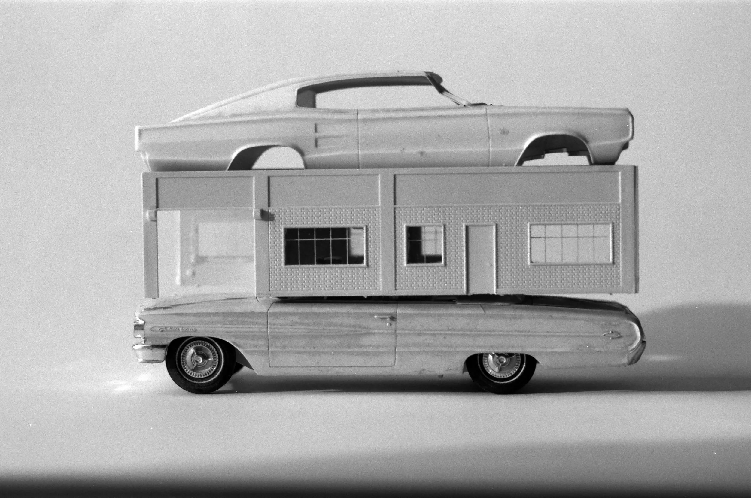 kodak_professional_t-max_100_06_27_2024_000102440006.jpg