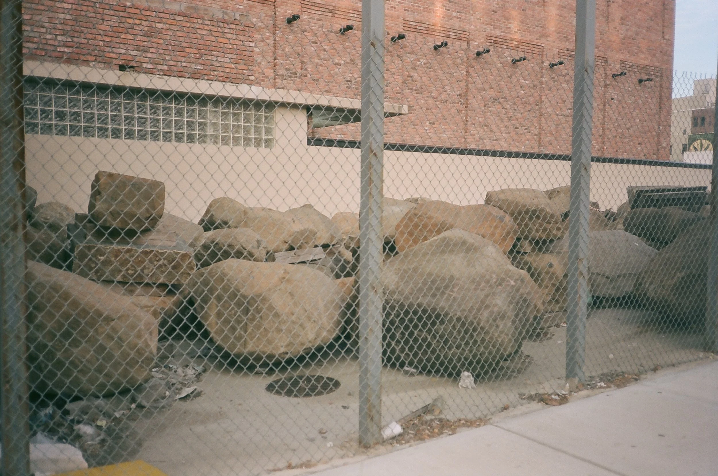 11_19_Roll_4_19.JPG