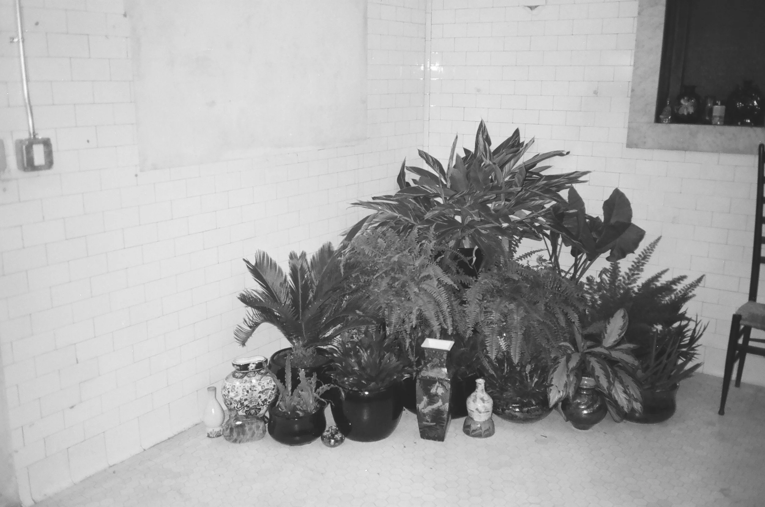 bwSample06.JPG