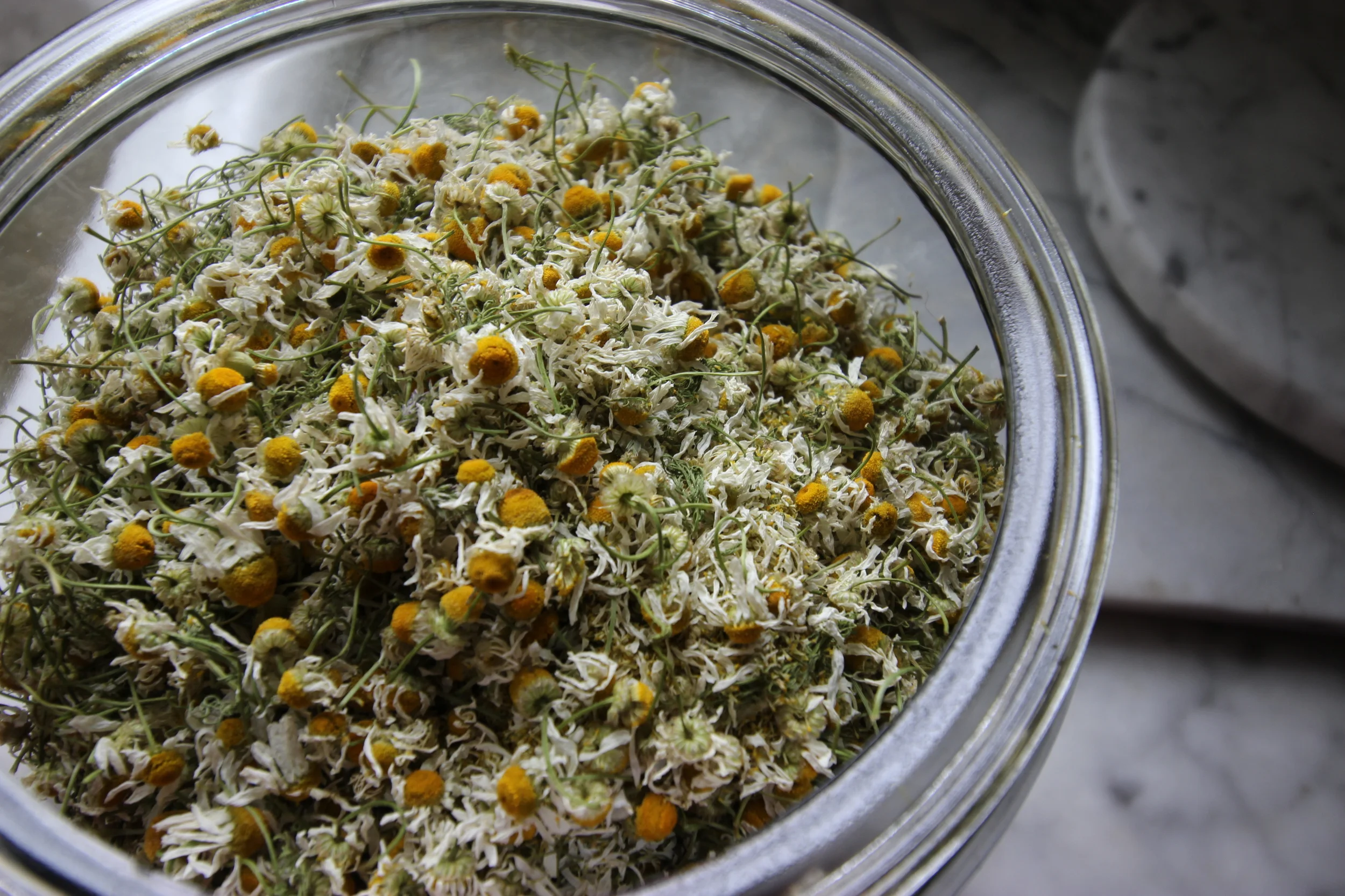 Chamomile tea for everyone