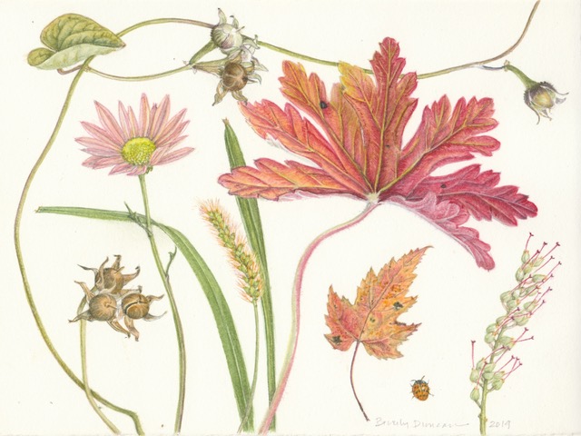 A Salmon Autumn, by Beverly Duncan.