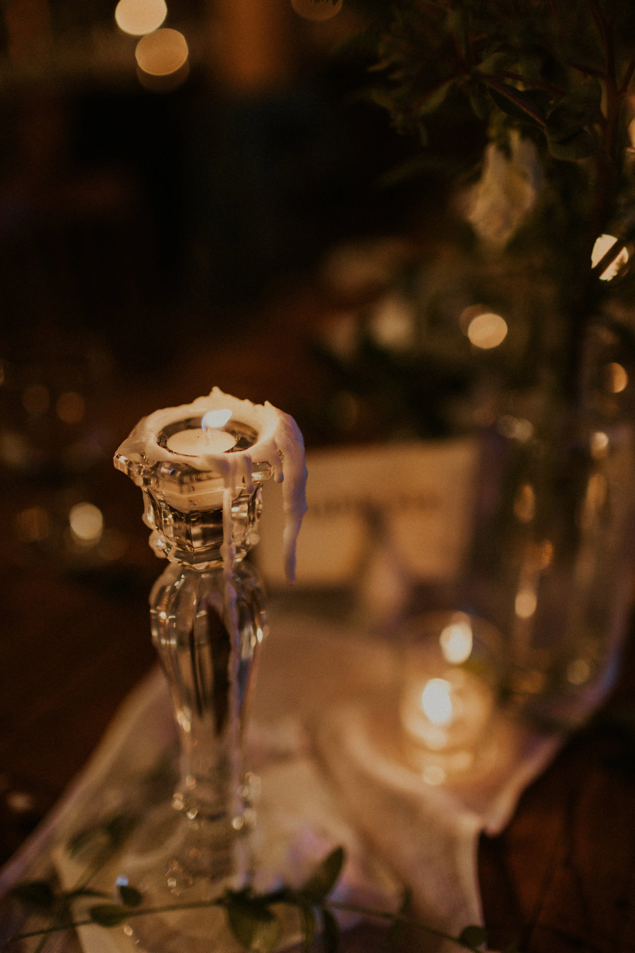 TaraBethPhotography-768.jpg