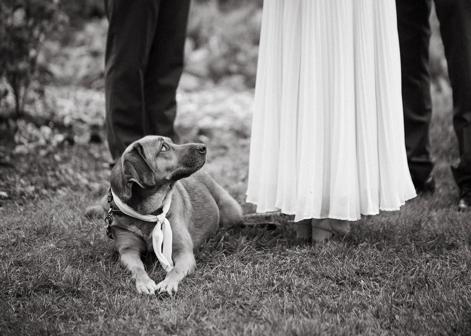 T&D Wedding  (802 of 1512)_websize-2.jpg