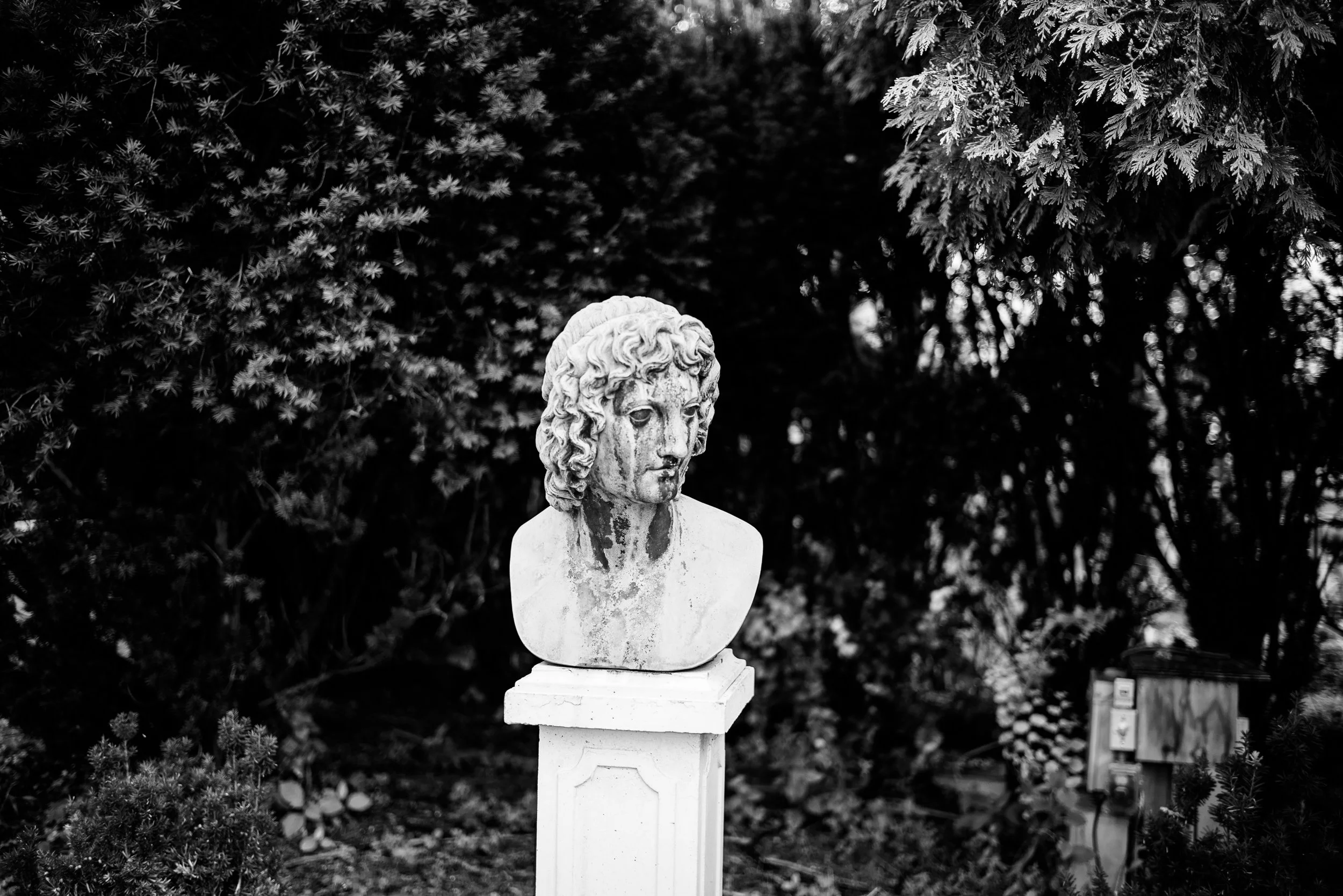 L1003021.jpg