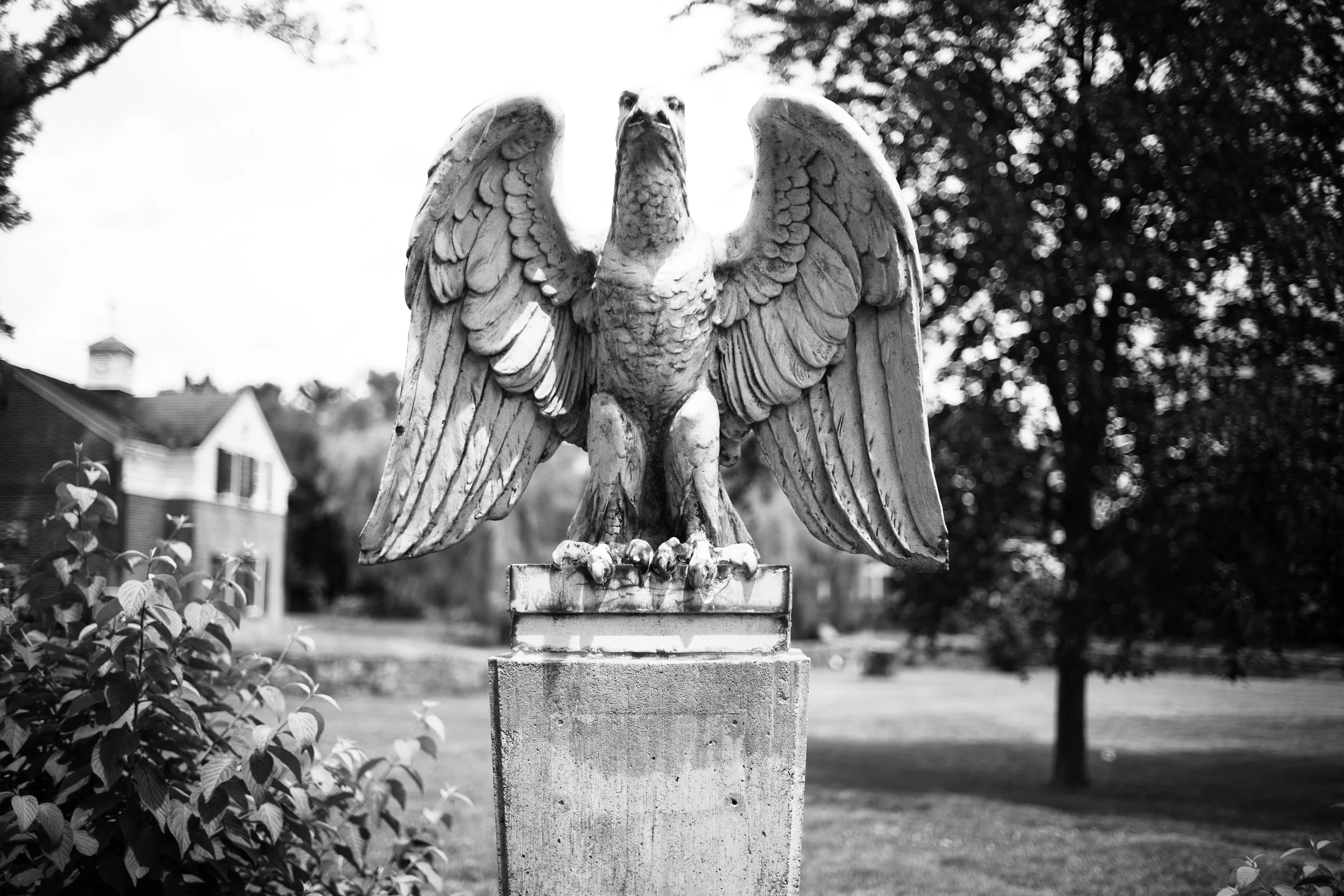 L1003034.jpg