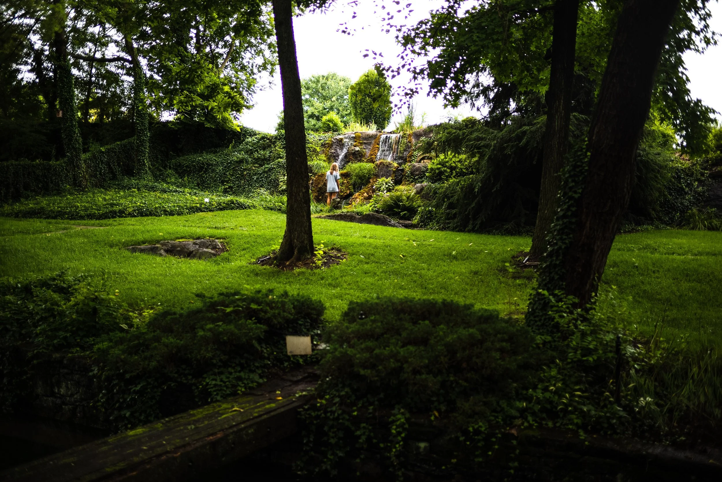 L1003058.jpg