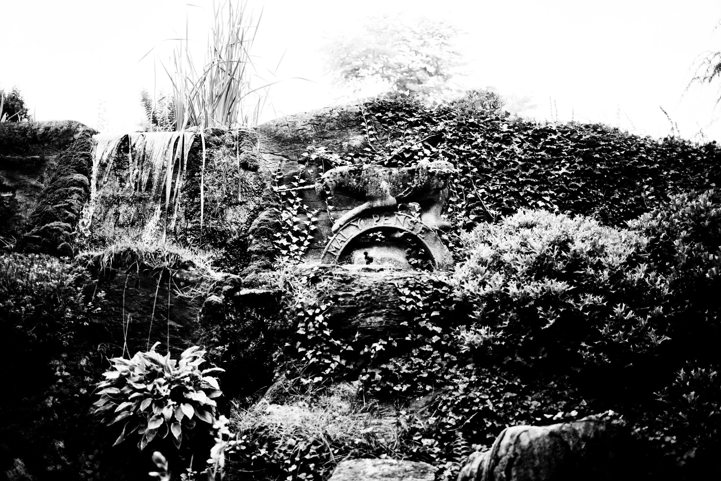 L1003061.jpg