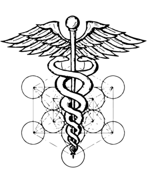 The Symbol   The self–reflecting twin snakes  Ida  &amp;  Pingala , in eternal dance. Their monadic unification is derived from the  rod of Hermes  ( a.k.a.   Thoth ,  Enoch ,  Idris ,  &amp;c —  a key figure in ancient  Kemet ).  This image is then placed upon what is known as   Metatron’s Cube   — which is the simplest geometric expression of all known forms of the  Platonic solids .  Note that the snakes cross paths in  7  different places —an eternal, recursive, and self–referential pattern.    The Meaning   μετά (meta, prefix): a concept that is an  abstraction  behind another concept, used to complete or add to the latter.    e.g.   Metadata. Metamorphosis. Meditation. Metallic. Medication. Mediation. Medical. Metaphysics.