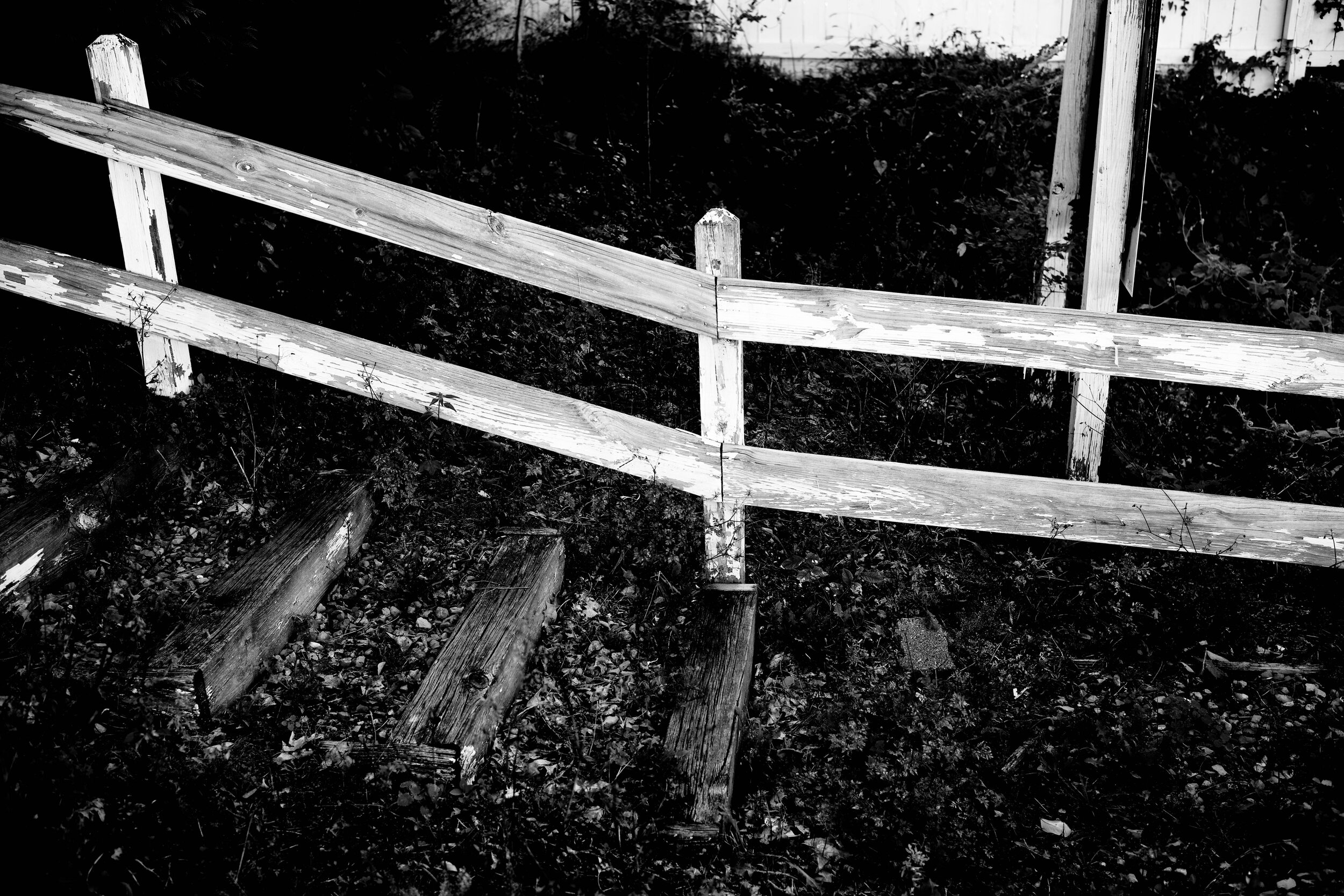 L1007030.jpeg
