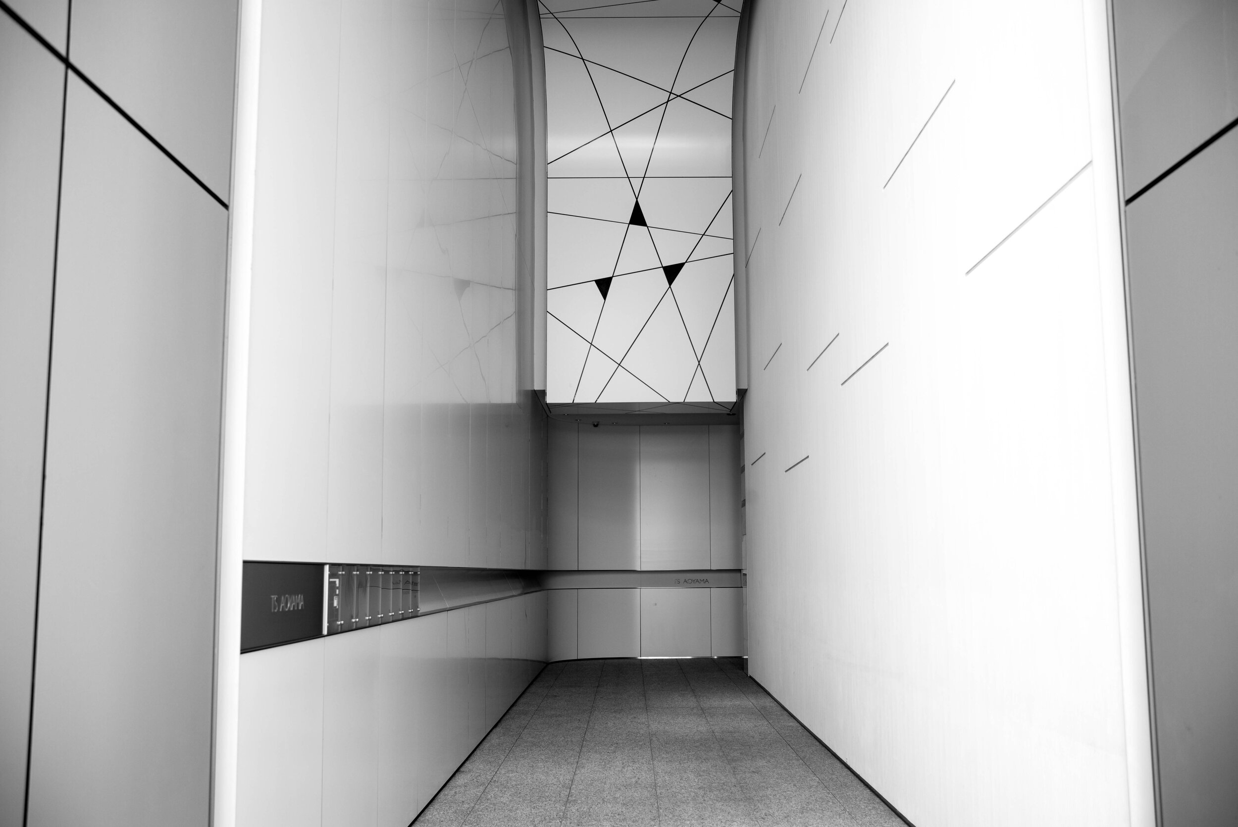 L1006447.jpeg