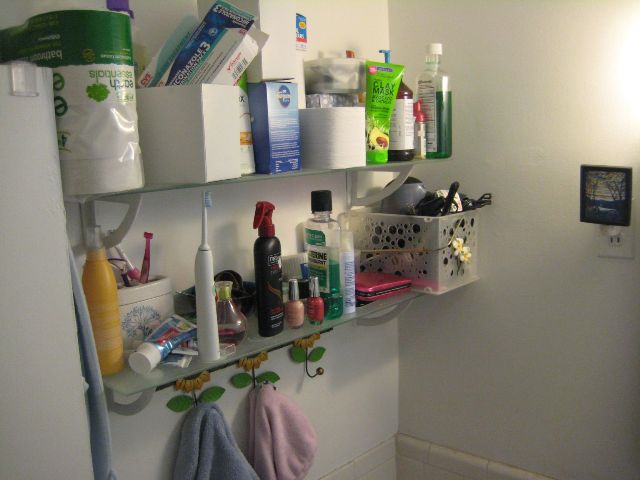 Bathroom Storage.JPG