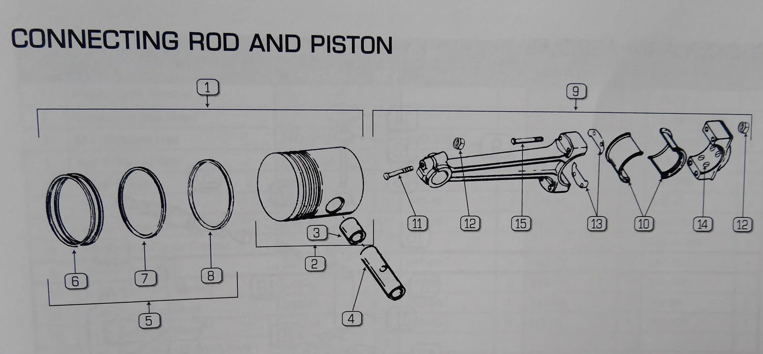 PISTON AND ROD ROD COMPLETE ASSEMBLY.