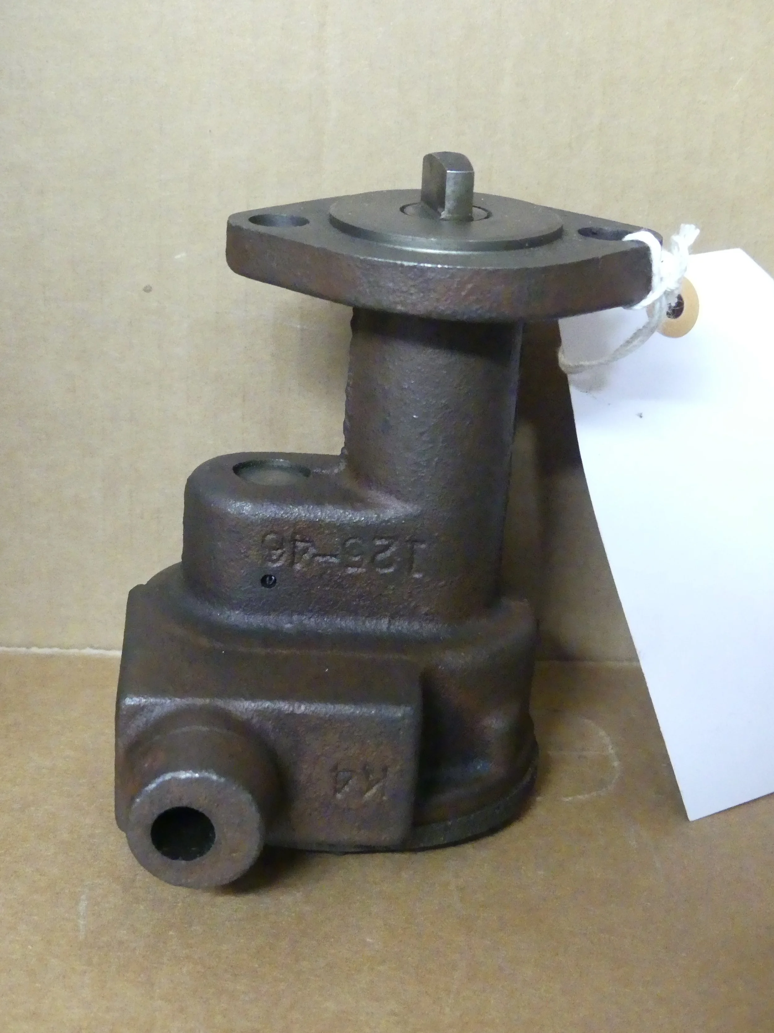 P1000440.JPG