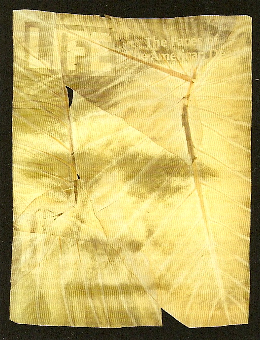 Binh Danh - Life, 2006
