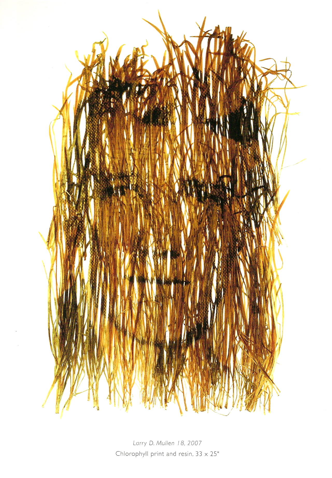 Binh Danh - Larry D. Mullen 18, 2007