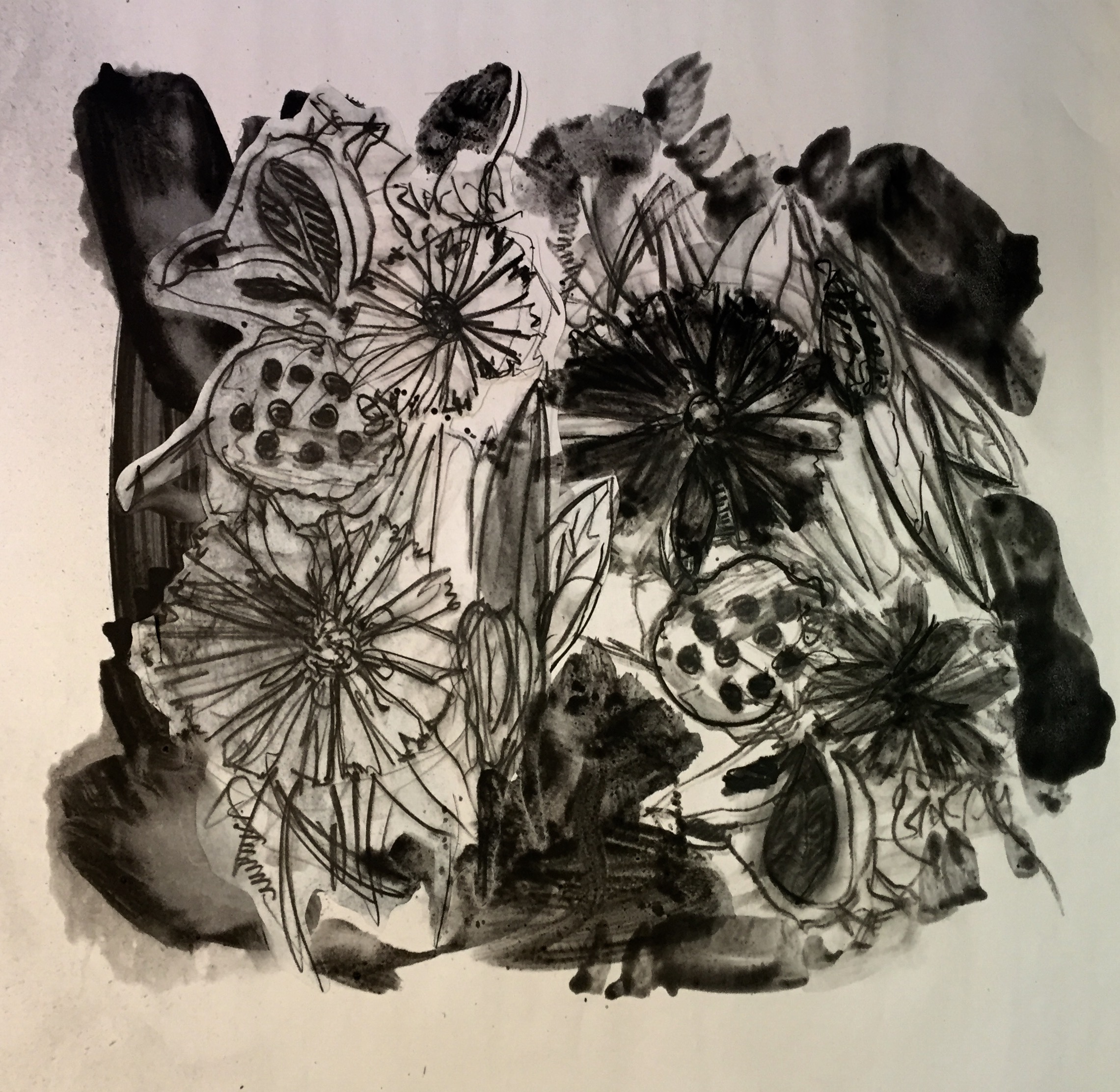 Flora 12
