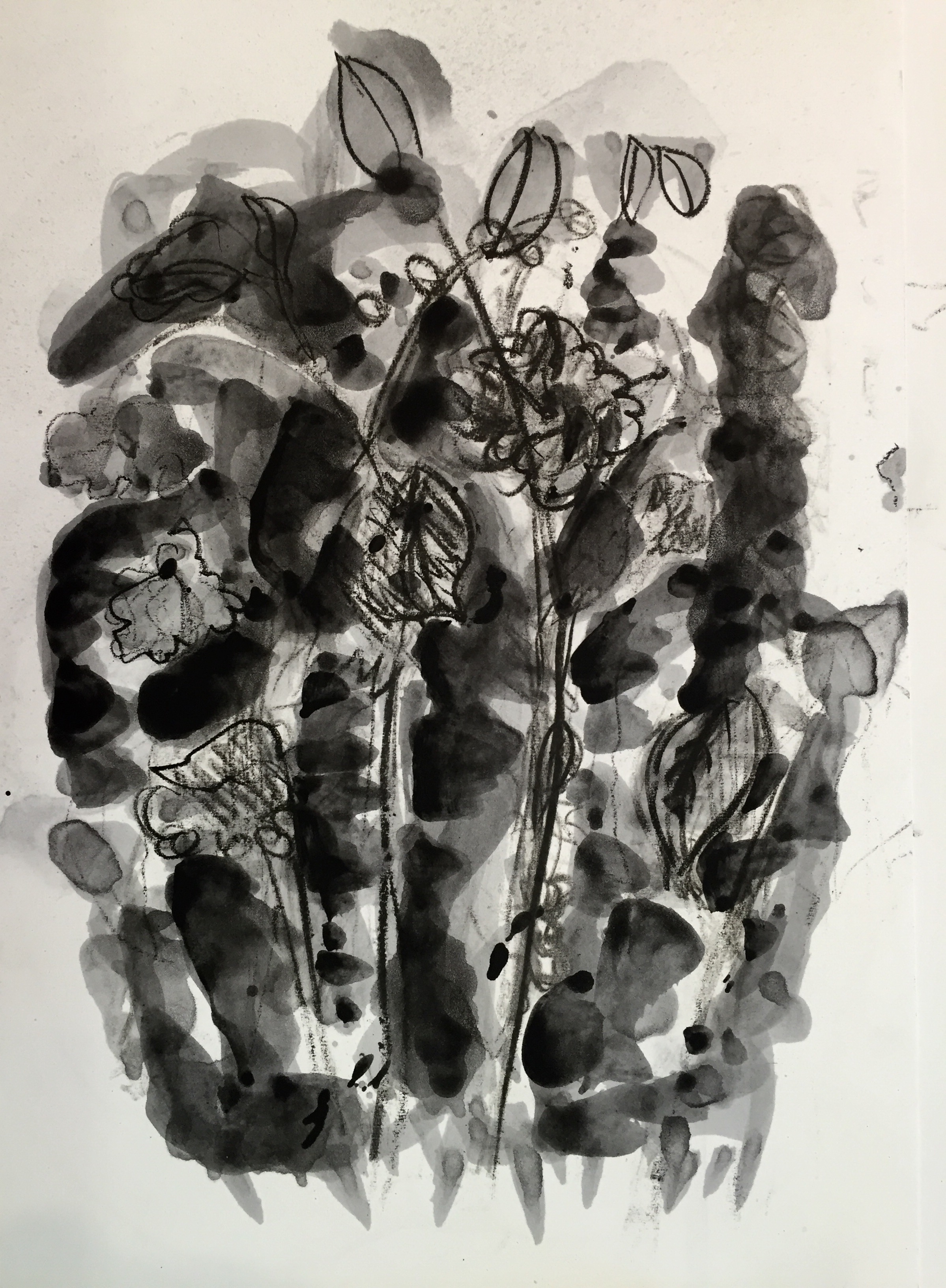 Flora 6