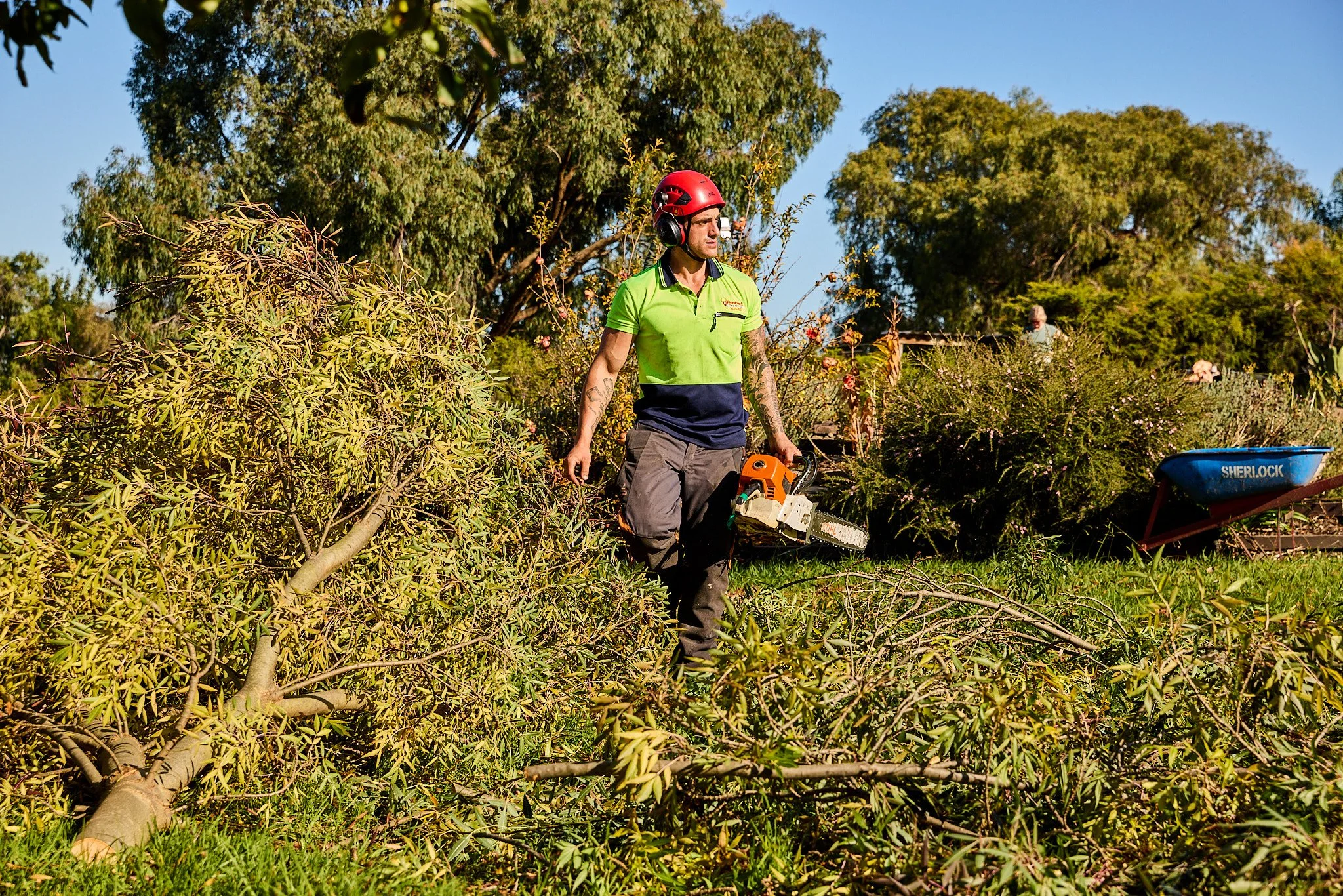 hipages-RedbackTreeServices-Location-3176.jpg