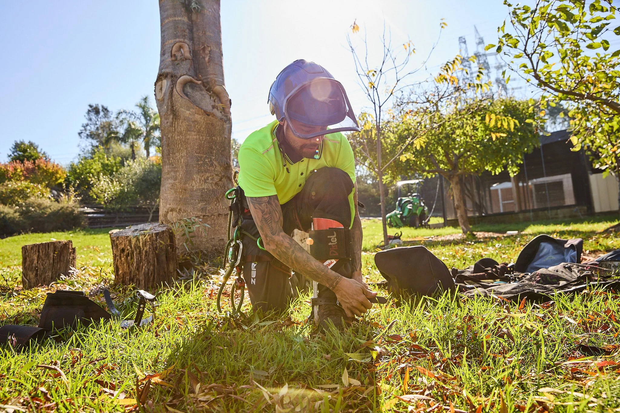 hipages-RedbackTreeServices-Location-3334.jpg