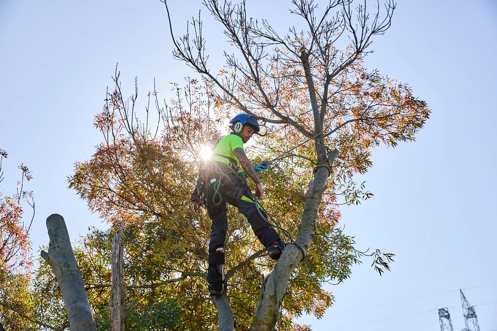 hipages-RedbackTreeServices-Location-3429.jpg