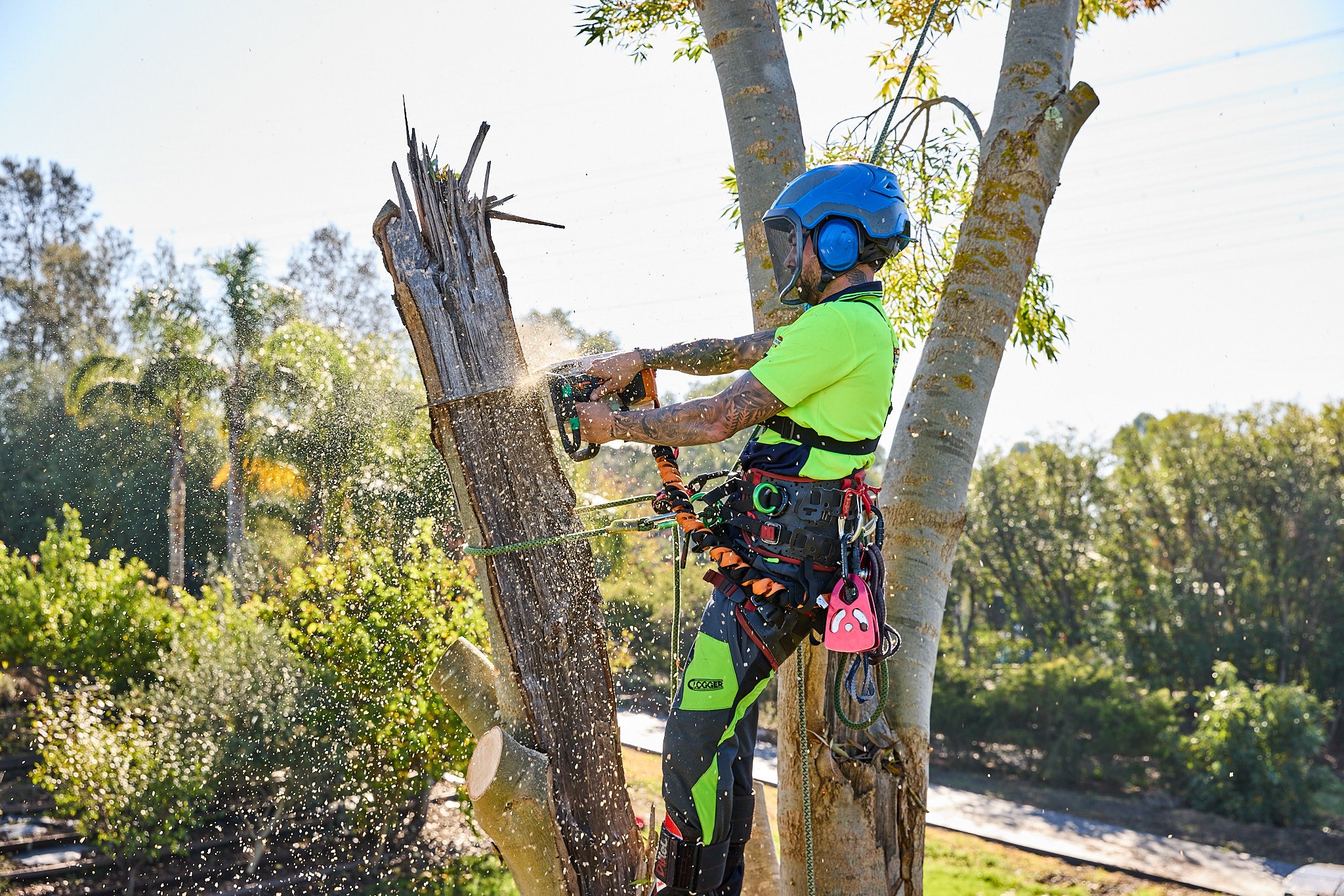 hipages-RedbackTreeServices-Location-3476.jpg