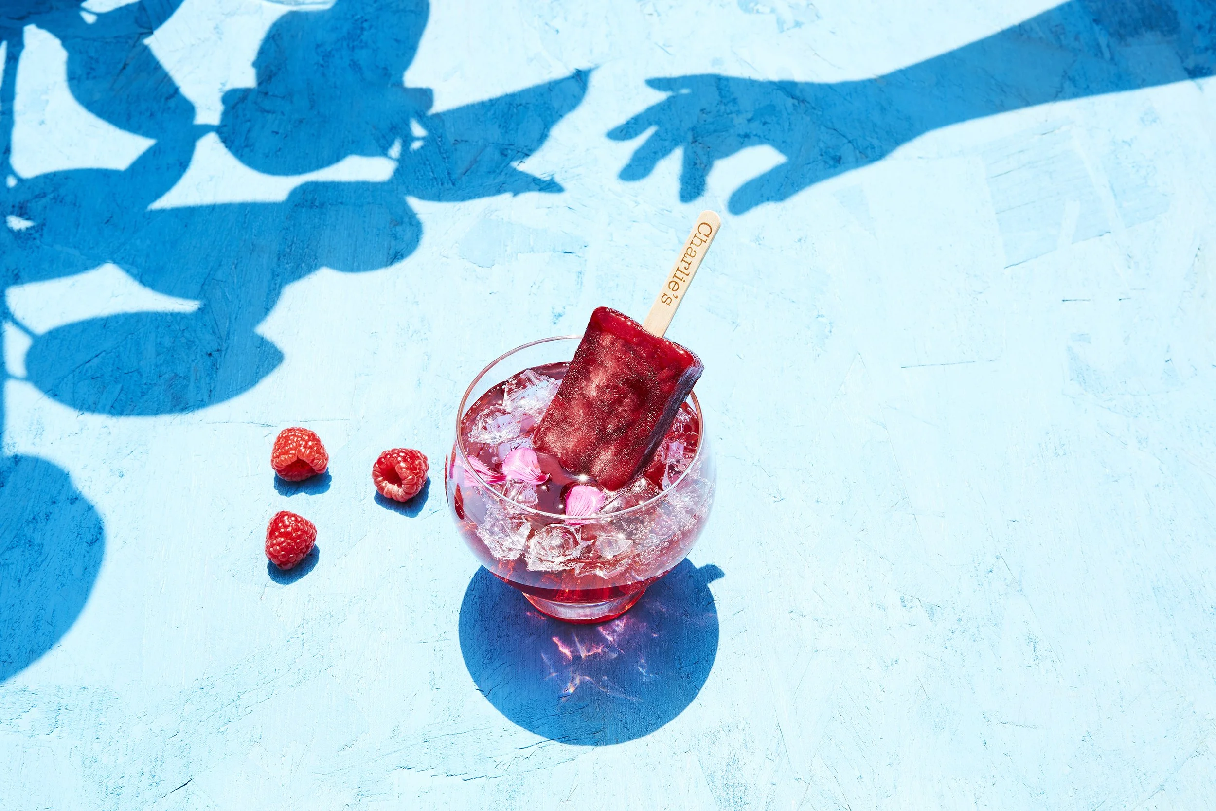 Charlies_HibiscusRaspberryMargarita_07_layered copy.jpg