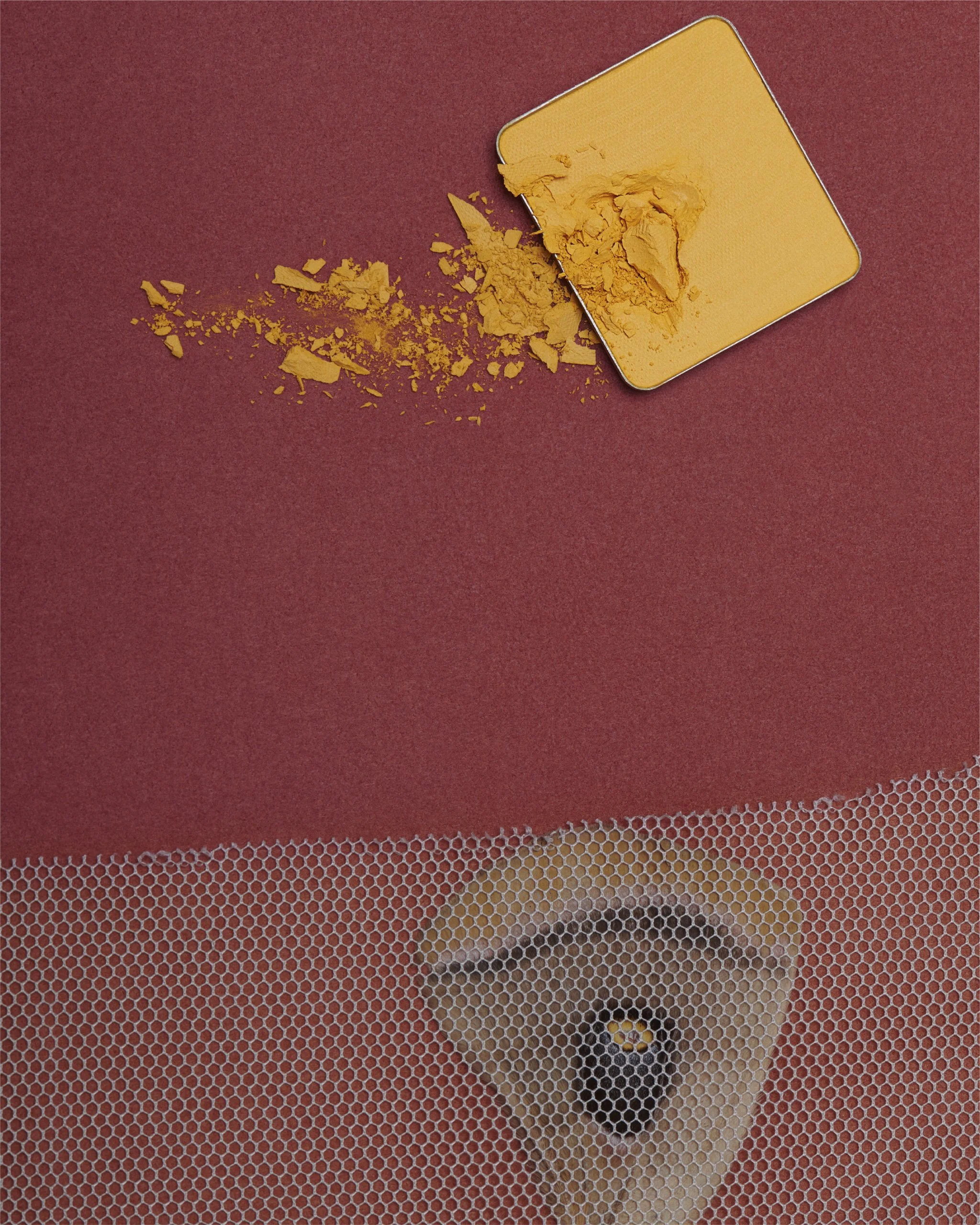  A Temporary Matter,    Style: Jocelyn Cabral. 