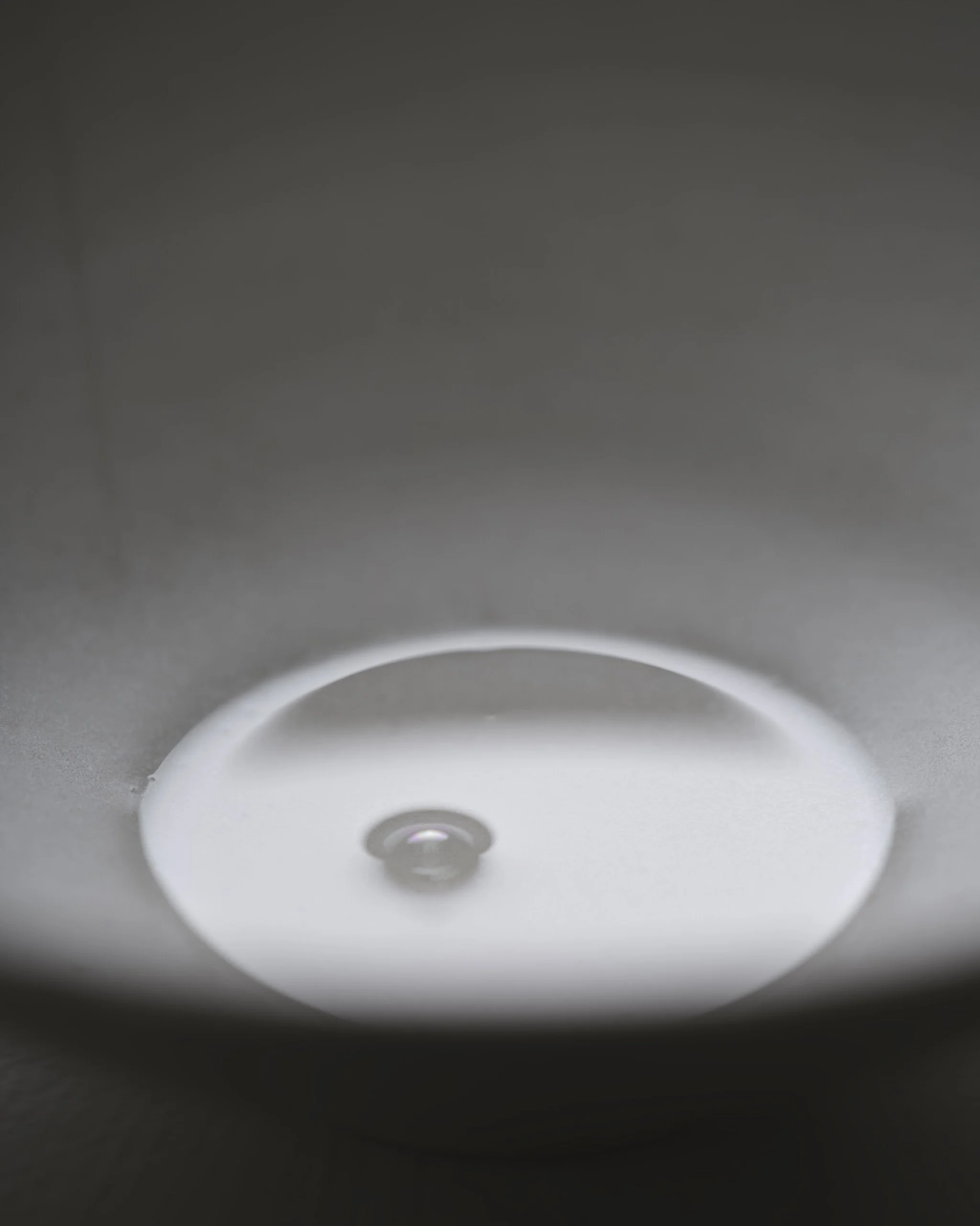  SKKN,    Art Direction_ Nicole Brown,  Style_ Jocelyn Cabral,                 